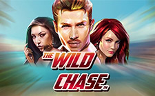 La slot machine Wild Chase